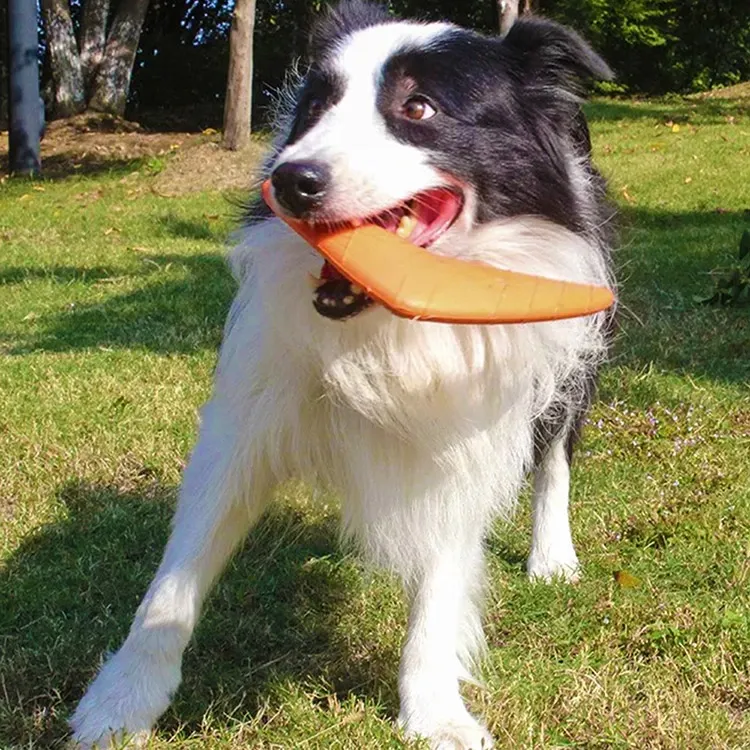 EVA Pet Dart: Güvenli ve Eğlenceli Bir Köpek Oyuncağı Seçmek İçin Pratik Bir Kılavuz